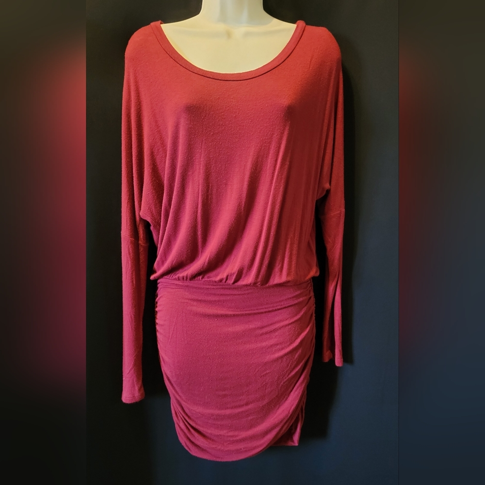 (S) Heart & Hips Mini Dress with Long Sleeves